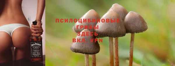 PSILOCYBIN Алзамай