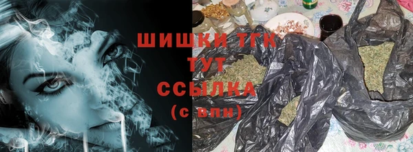 PSILOCYBIN Алзамай