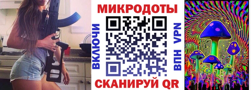 купить   Белая Калитва  Псилоцибиновые грибы Psilocybe 